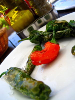 (c) by Dinah Grueterich / Pixelio